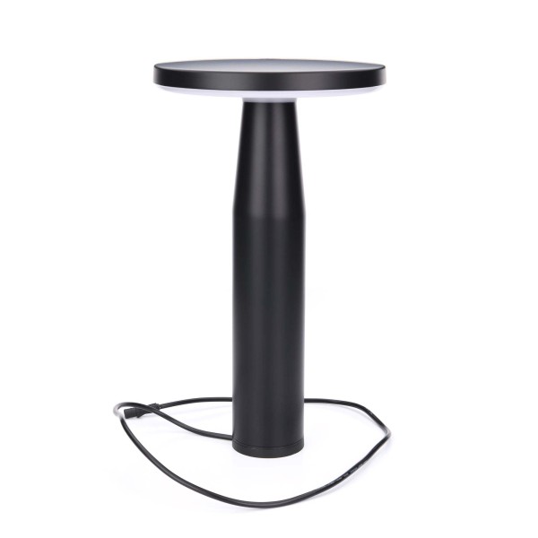 in-lite | DISC LOW | Staande Buitenlamp 